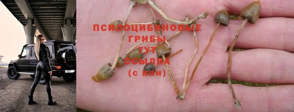 a pvp Волосово