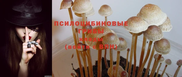 мяу мяу мука Волоколамск