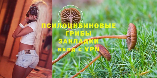 спиды Володарск