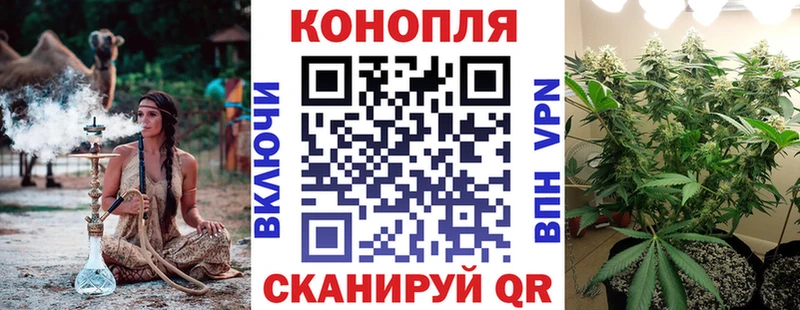 Марихуана SATIVA & INDICA где найти наркотики Выборг
